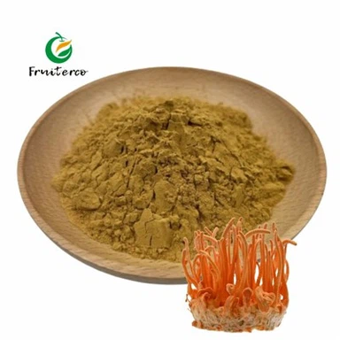 תמצית Cordyceps Militaris